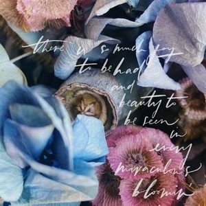 Meet your Posher, Crystal